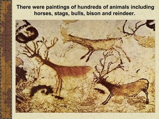 There were paintings of hundreds of animals including
horses, stags, bulls, bison and reindeer.
 