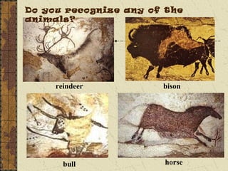 Do you recognize any of the
animals?
reindeer bison
bull horse
 