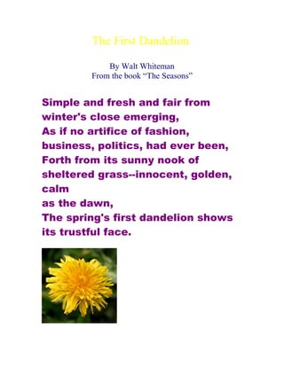 The First Dandelion

            By Walt Whiteman
        From the book “The Seasons”


Simple and fresh and fair from
winter's close emerging,
As if no artifice of fashion,
business, politics, had ever been,
Forth from its sunny nook of
sheltered grass--innocent, golden,
calm
as the dawn,
The spring's first dandelion shows
its trustful face.
 