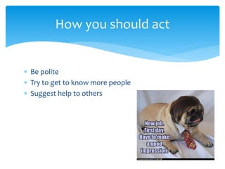 How you should act
? Be polite
? Try to get to know more people
? Suggest help to others

 