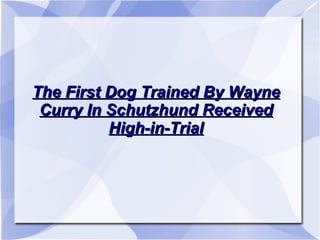The First Dog Trained By Wayne Curry In Schutzhund Received High-in-Trial 