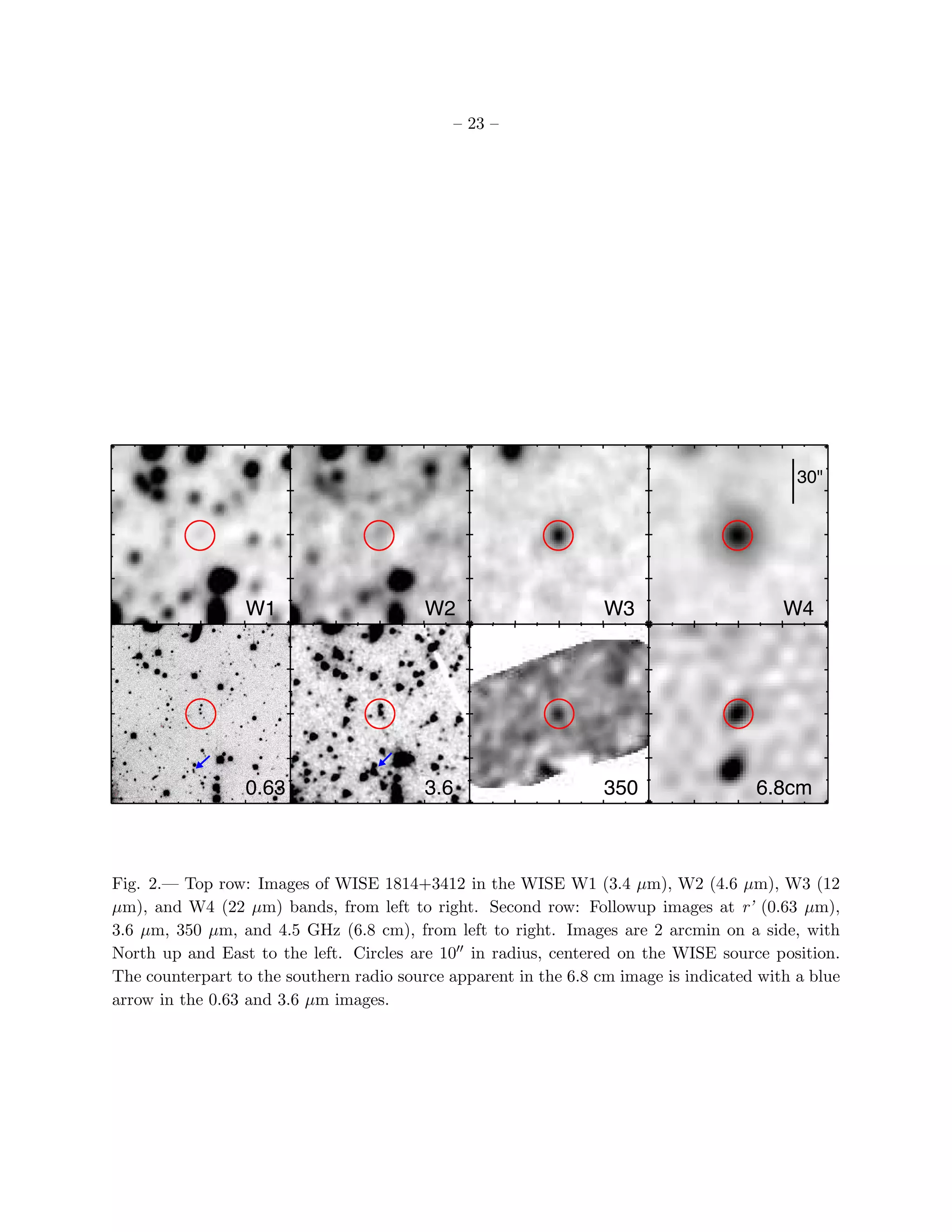 – 23 –




                                                                                            30"




                 W1                       W2                      W3                      W4




                 0.63                     3.6                     350                 6.8cm



Fig. 2.— Top row: Images of WISE 1814+3412 in the WISE W1 (3.4 µm), W2 (4.6 µm), W3 (12
µm), and W4 (22 µm) bands, from left to right. Second row: Followup images at r’ (0.63 µm),
3.6 µm, 350 µm, and 4.5 GHz (6.8 cm), from left to right. Images are 2 arcmin on a side, with
North up and East to the left. Circles are 10′′ in radius, centered on the WISE source position.
The counterpart to the southern radio source apparent in the 6.8 cm image is indicated with a blue
arrow in the 0.63 and 3.6 µm images.
 