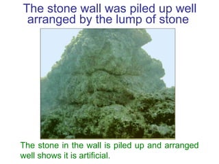 The stone wall was piled up well arranged by the lump of stone  The stone in the wall is piled up and arranged well shows ...