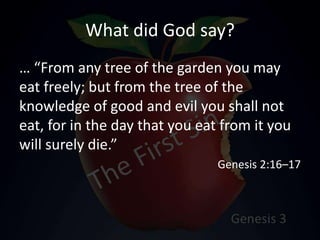 What did God say?
… “From any tree of the garden you may
eat freely; but from the tree of the
knowledge of good and evil you shall not
eat, for in the day that you eat from it you
will surely die.”
Genesis 2:16–17
 