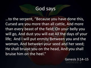 God says
…to the serpent, “Because you have done this,
Cursed are you more than all cattle, And more
than every beast of the field; On your belly you
will go, And dust you will eat All the days of your
life; And I will put enmity Between you and the
woman, And between your seed and her seed;
He shall bruise you on the head, And you shall
bruise him on the heel.”
Genesis 3:14–15
 