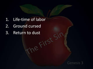 1. Life-time of labor
2. Ground cursed
3. Return to dust
 
