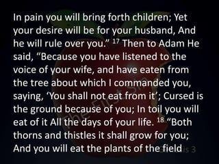 In pain you will bring forth children; Yet
your desire will be for your husband, And
he will rule over you.” 17 Then to Adam He
said, “Because you have listened to the
voice of your wife, and have eaten from
the tree about which I commanded you,
saying, ‘You shall not eat from it’; Cursed is
the ground because of you; In toil you will
eat of it All the days of your life. 18 “Both
thorns and thistles it shall grow for you;
And you will eat the plants of the field
 