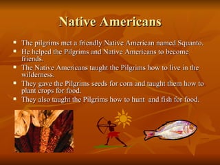Native Americans The pilgrims met a friendly Native American named Squanto. He helped the Pilgrims and Native Americans to become friends. The Native Americans taught the Pilgrims how to live in the wilderness. They gave the Pilgrims seeds for corn and taught them how to plant crops for food. They also taught the Pilgrims how to hunt  and fish for food. 