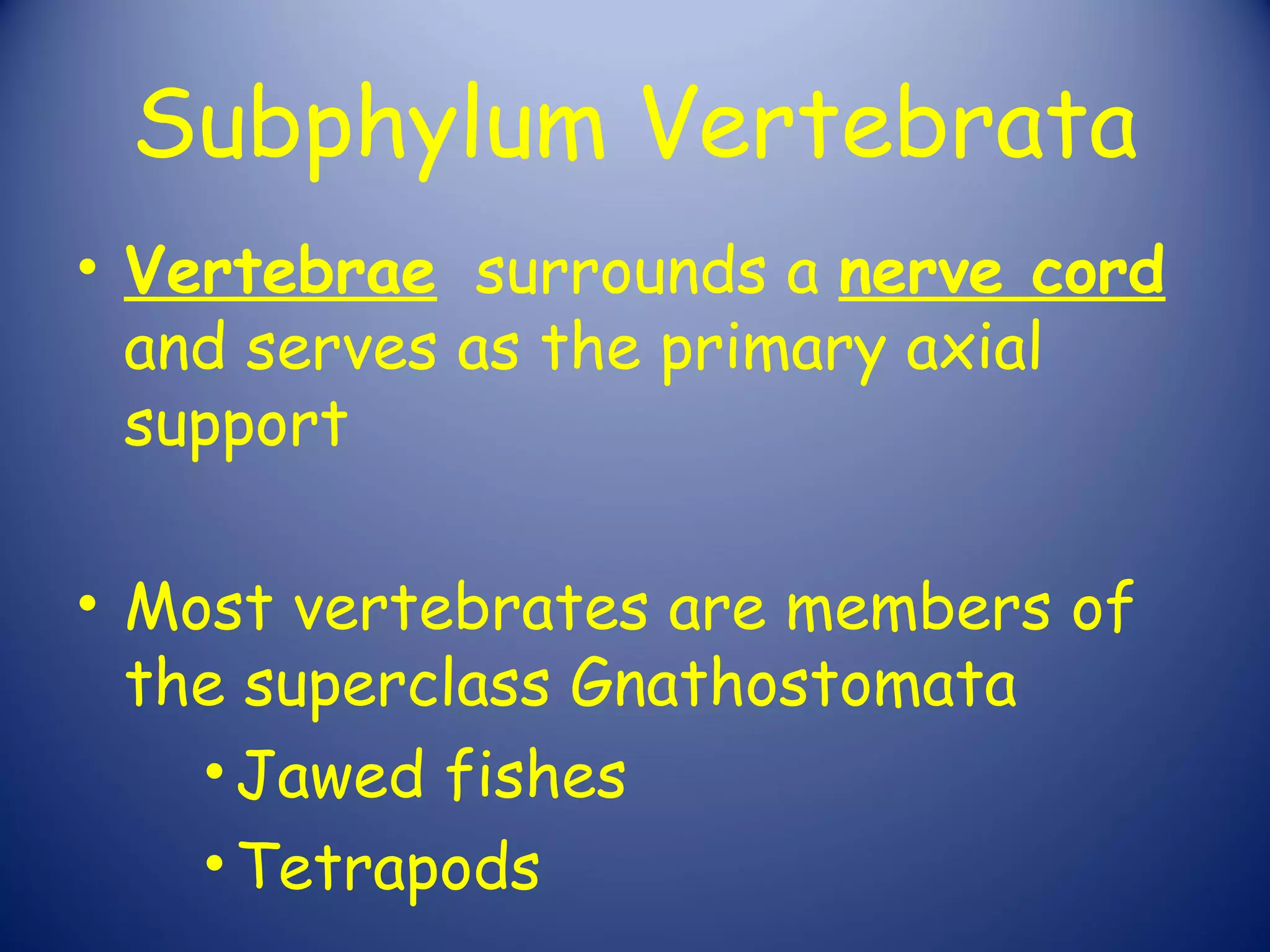 Subphylum Vertebrata
• Vertebrae surrounds a nerve cord
  and serves as the primary axial
  support

• Most vertebrates are members of
  the superclass Gnathostomata
    • Jawed fishes
    • Tetrapods
 
