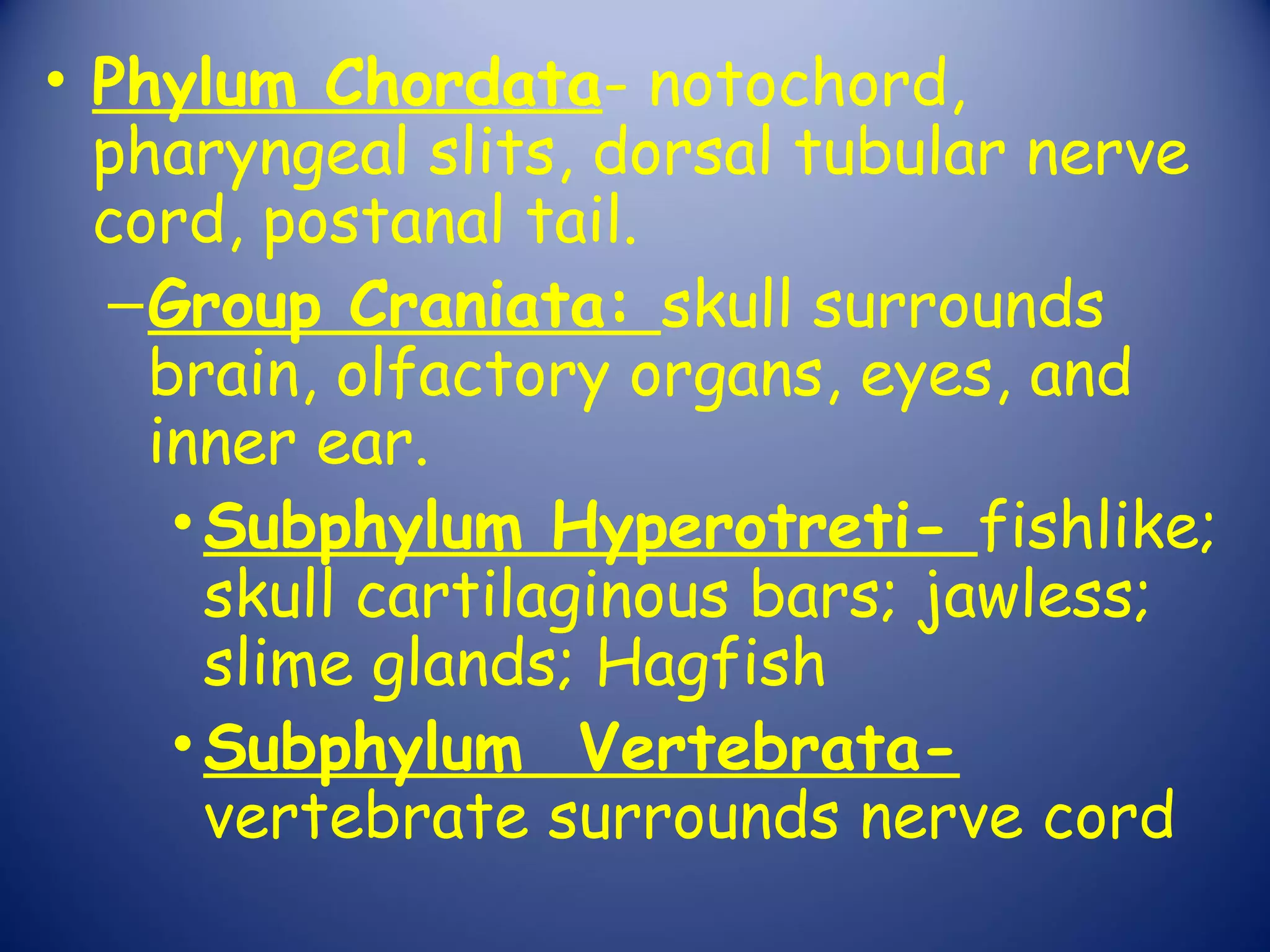 • Phylum Chordata- notochord,
  pharyngeal slits, dorsal tubular nerve
  cord, postanal tail.
  – Group Craniata: skull surrounds
    brain, olfactory organs, eyes, and
    inner ear.
     • Subphylum Hyperotreti- fishlike;
       skull cartilaginous bars; jawless;
       slime glands; Hagfish
     • Subphylum Vertebrata-
       vertebrate surrounds nerve cord
 