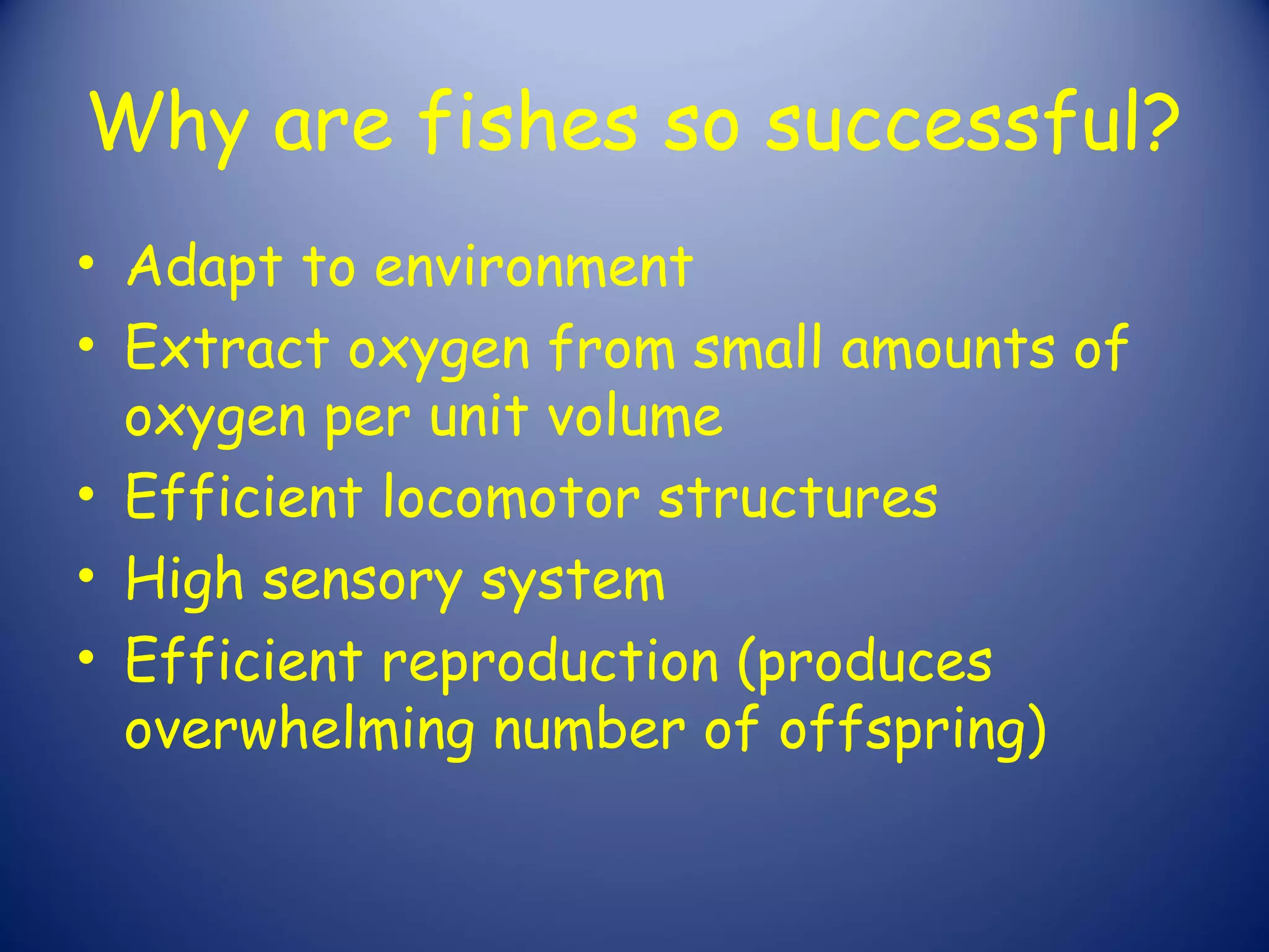 Why are fishes so successful?
• Adapt to environment
• Extract oxygen from small amounts of
  oxygen per unit volume
• Efficient locomotor structures
• High sensory system
• Efficient reproduction (produces
  overwhelming number of offspring)
 