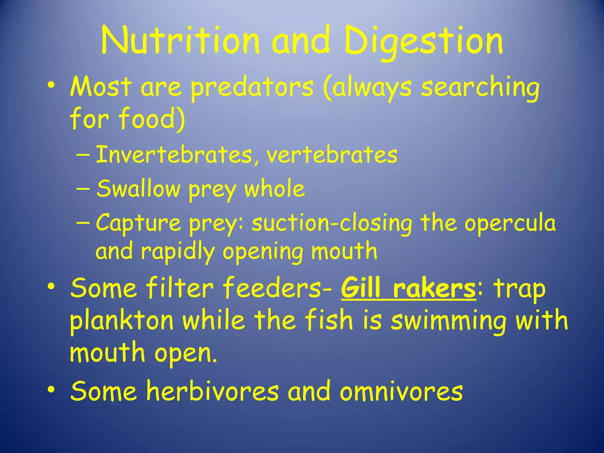 Nutrition and Digestion
• Most are predators (always searching
  for food)
  – Invertebrates, vertebrates
  – Swallow prey whole
  – Capture prey: suction-closing the opercula
    and rapidly opening mouth
• Some filter feeders- Gill rakers: trap
  plankton while the fish is swimming with
  mouth open.
• Some herbivores and omnivores
 