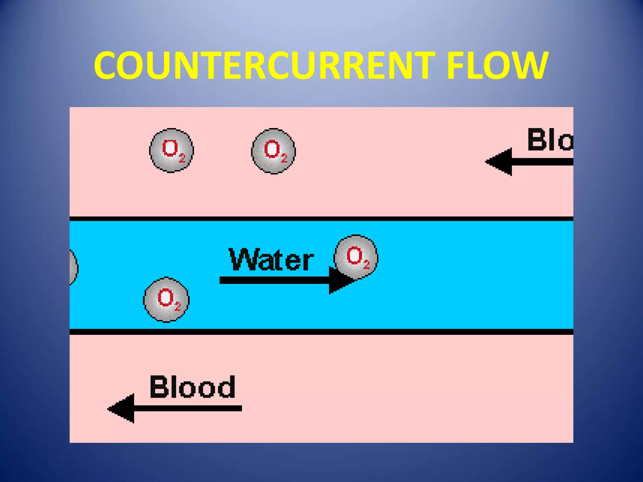 COUNTERCURRENT FLOW
 