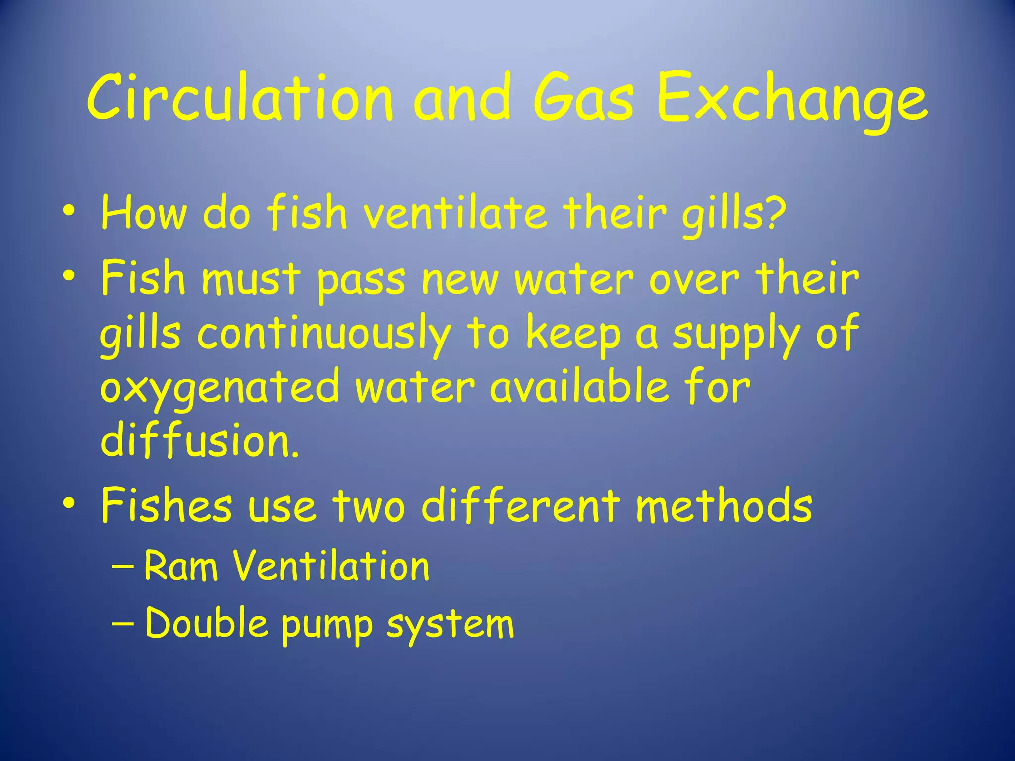Circulation and Gas Exchange
• How do fish ventilate their gills?
• Fish must pass new water over their
  gills continuously to keep a supply of
  oxygenated water available for
  diffusion.
• Fishes use two different methods
  – Ram Ventilation
  – Double pump system
 