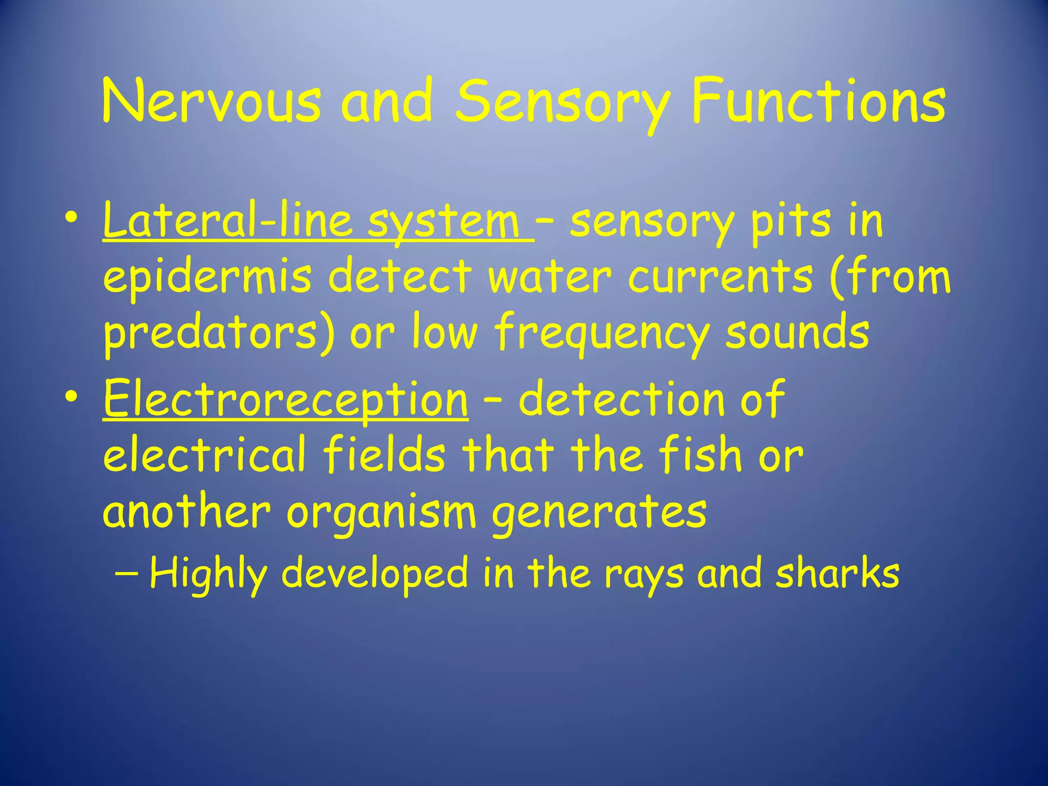 Nervous and Sensory Functions
• Lateral-line system – sensory pits in
  epidermis detect water currents (from
  predators) or low frequency sounds
• Electroreception – detection of
  electrical fields that the fish or
  another organism generates
  – Highly developed in the rays and sharks
 