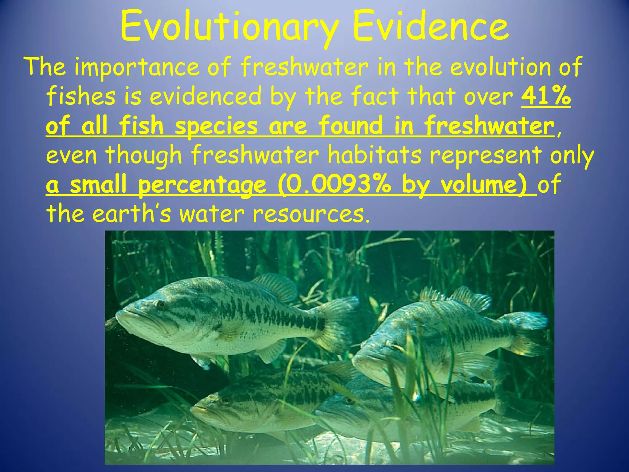 Evolutionary Evidence
The importance of freshwater in the evolution of
 fishes is evidenced by the fact that over 41%
 of all fish species are found in freshwater,
 even though freshwater habitats represent only
 a small percentage (0.0093% by volume) of
 the earth’s water resources.
 