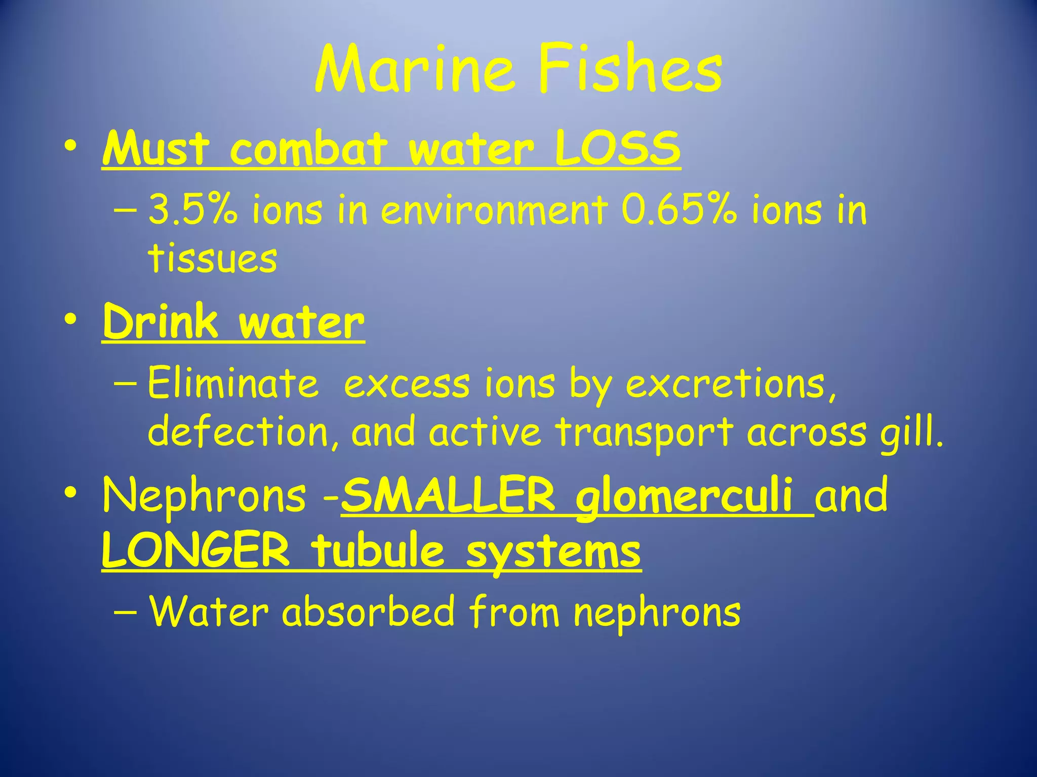 Marine Fishes
• Must combat water LOSS
  – 3.5% ions in environment 0.65% ions in
    tissues
• Drink water
  – Eliminate excess ions by excretions,
    defection, and active transport across gill.
• Nephrons -SMALLER glomerculi and
  LONGER tubule systems
  – Water absorbed from nephrons
 