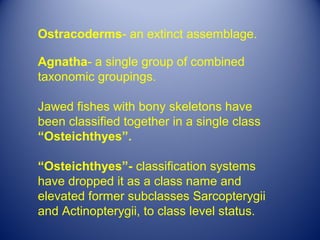 Ostracoderms- an extinct assemblage.

Agnatha- a single group of combined
taxonomic groupings.

Jawed fishes with bony skeletons have
been classified together in a single class
“Osteichthyes”.

“Osteichthyes”- classification systems
have dropped it as a class name and
elevated former subclasses Sarcopterygii
and Actinopterygii, to class level status.
 