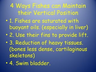 4 Ways Fishes can Maintain
   their Vertical Position
• 1. Fishes are saturated with
  buoyant oils. (especially in liver)
• 2. Use their fins to provide lift.
• 3. Reduction of heavy tissues.
  (bones less dense, cartilaginous
  skeletons)
• 4. Swim bladder.
 
