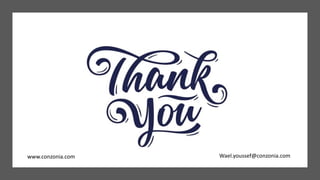 Wael.youssef@conzonia.com
www.conzonia.com
 