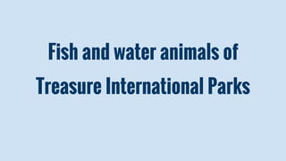 Fish and water animals of
Treasure International Parks
 