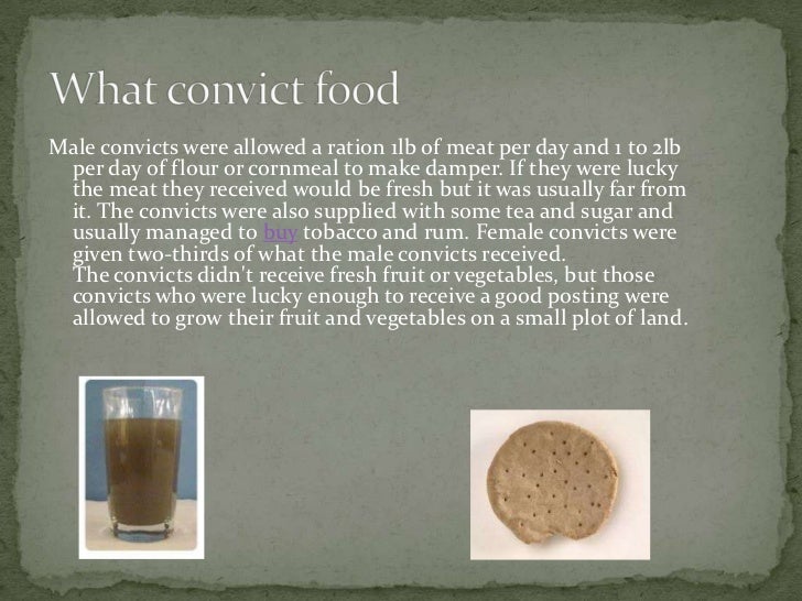 The fist fleet amelia