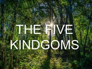 THE FIVE
KINDGOMS
 