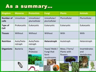 As a summary… Kingdom Moneras Protoctists Fungi Plants Animals Number of cells Unicellular Unicellular/ pluricellular Unicellular/ pluricellular Pluricellular Pluricellular Type of Cell Prokaryotic Eukaryotic Eukaryotic Eukaryotic Eukaryotic Tissues Without Without Without With With Nutrition Auto/hete-rotroph Auto/hete-rotroph Heterotroph Autotroph Heterotroph Organisms Bacteria Algae/ Protozoa Yeast/ Mold / Fungi that form mushrooms Moss / Ferns/ Plants with flowers Invertebrates  and Vertebrates 