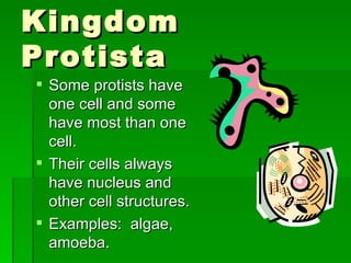 Kingdom Protista Some protists have one cell and some have most than one cell. Their cells always have nucleus and other cell structures. Examples:  algae, amoeba. 