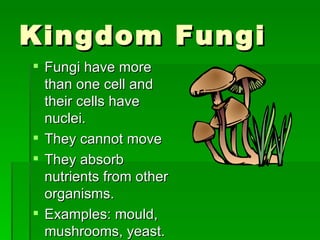 Kingdom Fungi Fungi have more than one cell and their cells have nuclei. They cannot move They absorb nutrients from other organisms. Examples: mould, mushrooms, yeast. 