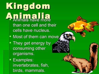 Kingdom Animalia Animals have more than one cell and their cells have nucleus. Most of them can move They get energy by consuming other organisms. Examples:  invertebrates, fish, birds, mammals. 