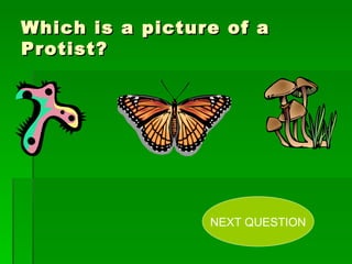 Which is a picture of a Protist? NEXT QUESTION 