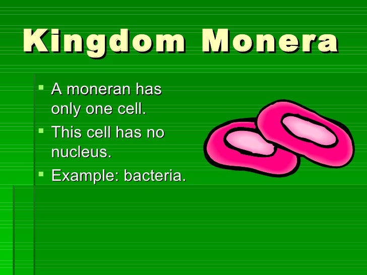 Kingdom Kingdom