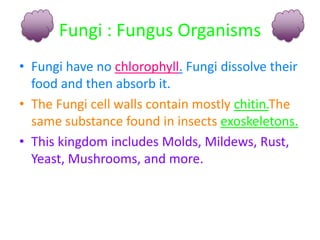 Fungi : Fungus OrganismsFungi have no chlorophyll. Fungi dissolve their food and then absorb it.The Fungi cell walls contain mostly chitin.The same substance found in insects exoskeletons.This kingdom includes Molds, Mildews, Rust, Yeast, Mushrooms, and more.