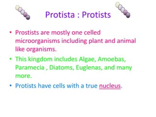 Protista : ProtistsProstists are mostly one celled microorganisms including plant and animal like organisms.This kingdom includes Algae, Amoebas, Paramecia , Diatoms, Euglenas, and many more.Protists have cells with a true nucleus.
