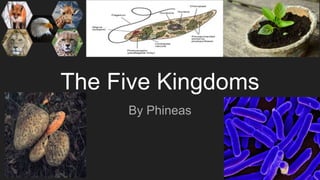 The Five Kingdoms
By Phineas
 