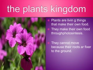 Plants are livin g things
that make their own food.
 They make their own food
throughphotosintesis.
 They cannot move
because their roots ar fixer
to the ground.
 
