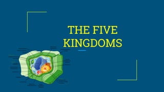 THE FIVE
KINGDOMS
 