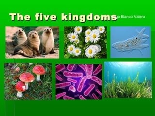 The five kingdomsThe five kingdomsHugo Blanco Valero
 
