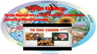 The Five Kingdoms
The Five Kingdoms are a group of plants and animals that are
classified in different categories.