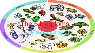 The 5 kingdoms
By: Malachi and Trent
 