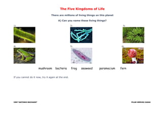 The Five Kingdoms of Life
There are millions of living things on this planet
A) Can you name these living things?
1) 2) 3)
4) 5) 6)
mushroom bacteria frog seaweed paramecium fern
If you cannot do it now, try it again at the end.
CEIP “ANTONIO MACHADO” PILAR HERVÁS CASAS
 