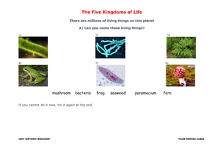 The Five Kingdoms of Life
There are millions of living things on this planet
A) Can you name these living things?
1) 2) 3)...