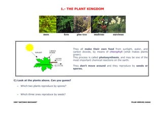 1.- THE PLANT KINGDOM
moss fern pine tree madrone narcissus
They all make their own food from sunlight, water, and
carbon ...