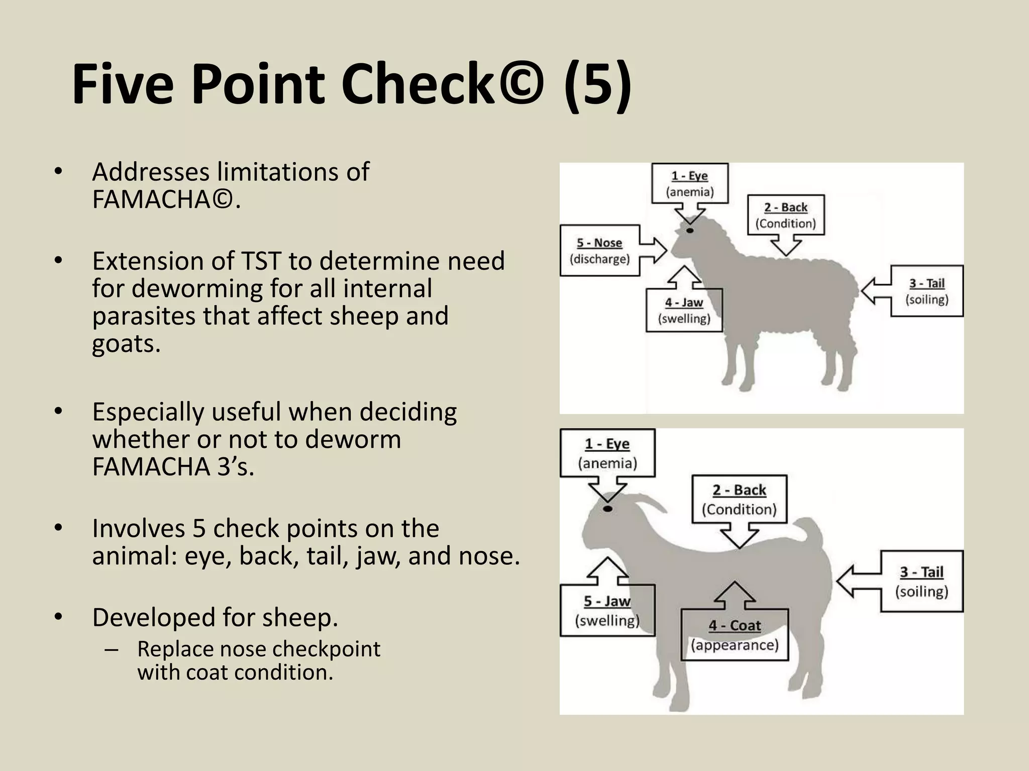 The Five Point Check® | PPTX