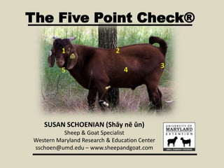 The Five Point Check®
SUSAN SCHOENIAN (Shāy nē ŭn)
Sheep & Goat Specialist
Western Maryland Research & Education Center
sschoen@umd.edu – www.sheepandgoat.com
 