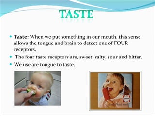 <ul><li>Taste:  When we put something in our mouth, this sense allows the tongue and brain to detect one of FOUR receptors...
