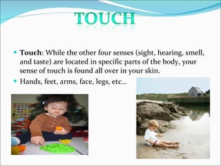 <ul><li>Touch : While the other four senses (sight, hearing, smell, and taste) are located in specific parts of the body, ...