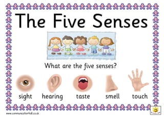 What are the five senses?



          sight               hearing   taste      smell   touch

www.communication4all.co.uk
 