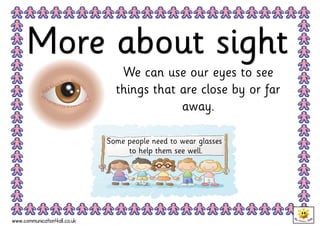 The five senses | PDF